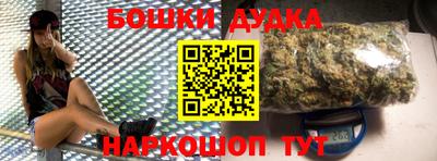 дмт Новодвинск