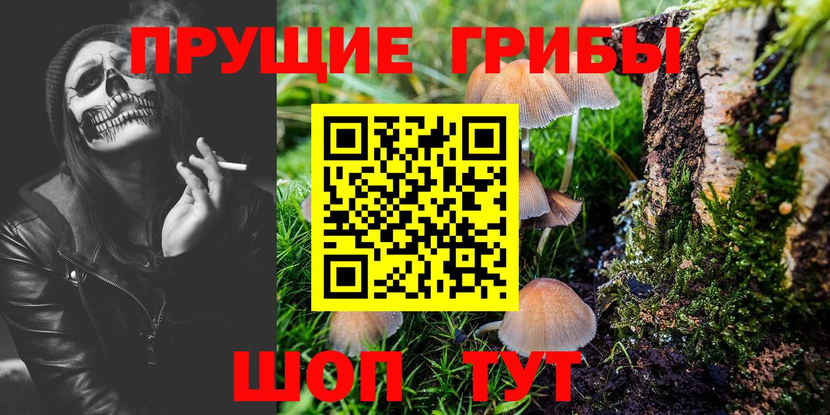Сухой Лог  Галлюциногенные грибы Psilocybine cubensis  Вход с VPN 